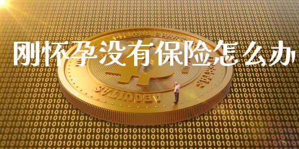 刚怀孕没有保险怎么办_https://cj001.lansai.wang_保险问答_第1张