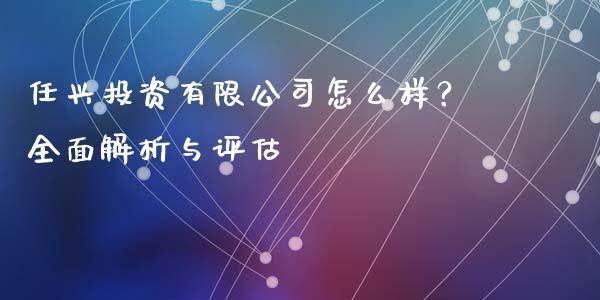 任兴投资有限公司怎么样？全面解析与评估_https://cj001.lansai.wang_理财问答_第1张