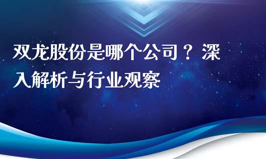 双龙股份是哪个公司？ 深入解析与行业观察_https://cj001.lansai.wang_金融问答_第1张