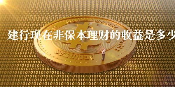 建行现在非保本理财的收益是多少_https://cj001.lansai.wang_会计问答_第1张