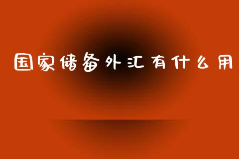 国家储备外汇有什么用_https://cj001.lansai.wang_财经问答_第1张