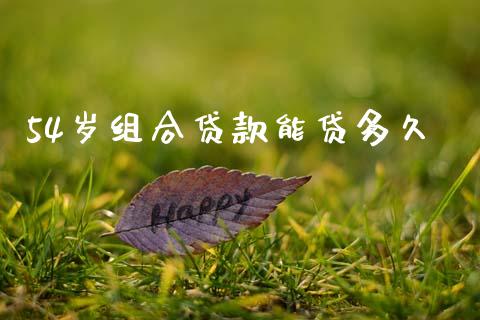 54岁组合贷款能贷多久_https://cj001.lansai.wang_理财问答_第1张