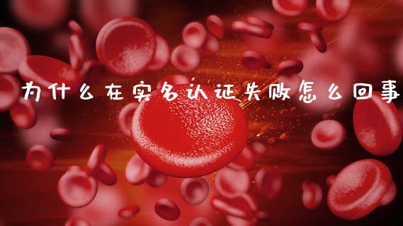 为什么在实名认证失败怎么回事_https://cj001.lansai.wang_理财问答_第1张
