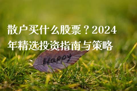 散户买什么股票？2024年精选投资指南与策略_https://cj001.lansai.wang_财经问答_第1张
