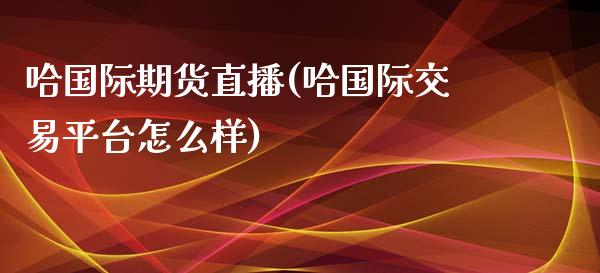 哈国际期货直播(哈国际交易平台怎么样)_https://cj001.lansai.wang_股市问答_第1张