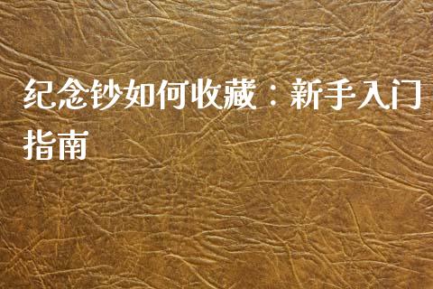 纪念钞如何收藏：新手入门指南_https://cj001.lansai.wang_财经问答_第1张