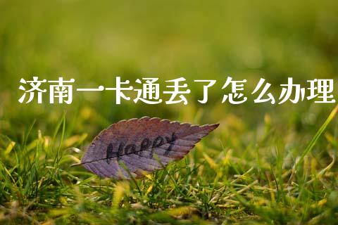 济南一卡通丢了怎么办理_https://cj001.lansai.wang_保险问答_第1张