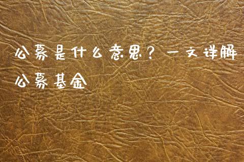 公募是什么意思？一文详解公募基金_https://cj001.lansai.wang_会计问答_第1张