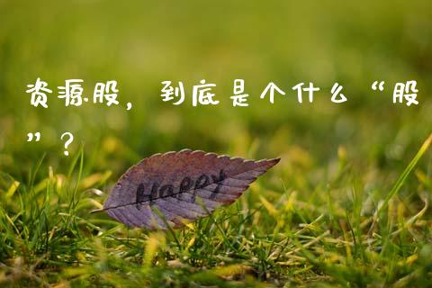 资源股，到底是个什么“股”？_https://cj001.lansai.wang_金融问答_第1张