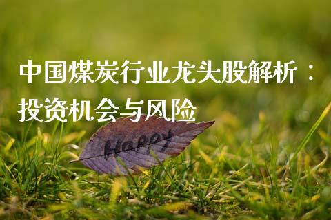 中国煤炭行业龙头股解析：投资机会与风险_https://cj001.lansai.wang_股市问答_第1张