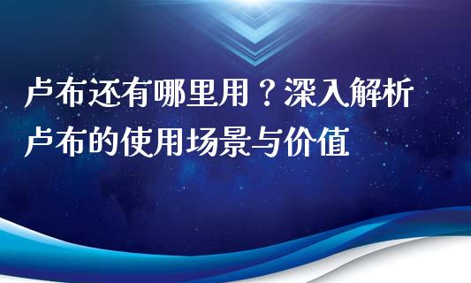 卢布还有哪里用？深入解析卢布的使用场景与价值_https://cj001.lansai.wang_期货问答_第1张