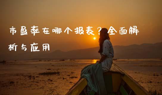 市盈率在哪个报表？全面解析与应用_https://cj001.lansai.wang_股市问答_第1张