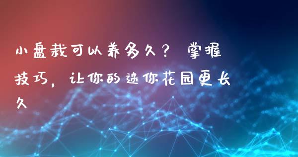 小盘栽可以养多久? 掌握技巧,让你的迷你花园更长久_财经百问_第1张_财经百问网 小盘栽可以养多久? 掌握技巧,让你的迷你花园更长久_https://cj001.lansai.wang_财经百问_第1张