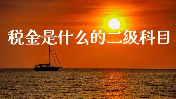 税金是什么的二级科目_https://cj001.lansai.wang_会计问答_第1张