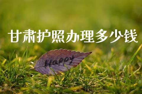 甘肃护照办理多少钱_https://cj001.lansai.wang_财经问答_第1张