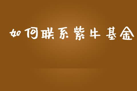 如何联系紫牛基金_https://cj001.lansai.wang_保险问答_第1张