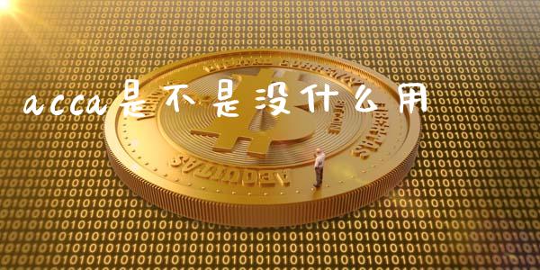 acca是不是没什么用_https://cj001.lansai.wang_会计问答_第1张