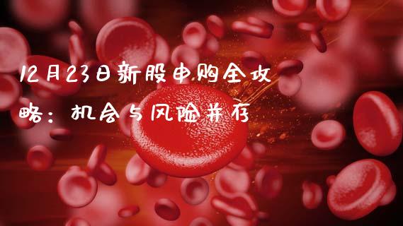 12月23日新股申购全攻略:机会与风险并存_会计问答_第1张_财经百问网 12月23日新股申购全攻略:机会与风险并存_https://cj001.lansai.wang_会计问答_第1张