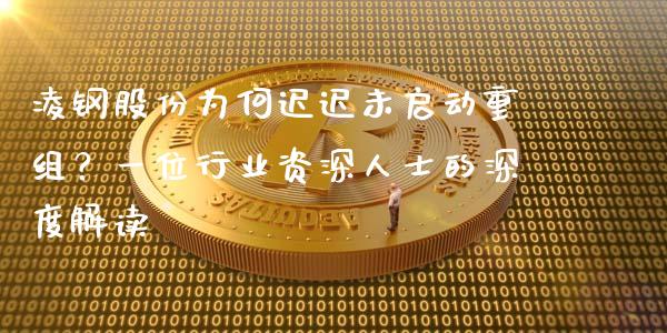 凌钢股份为何迟迟未启动重组？一位行业资深人士的深度解读_https://cj001.lansai.wang_会计问答_第1张