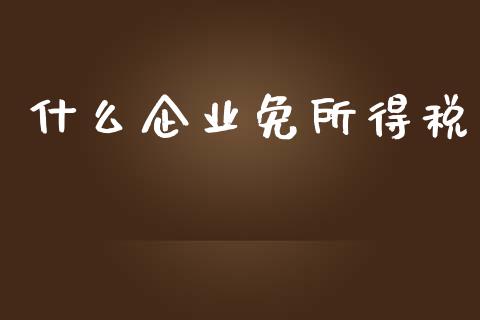 什么企业免所得税_https://cj001.lansai.wang_会计问答_第1张