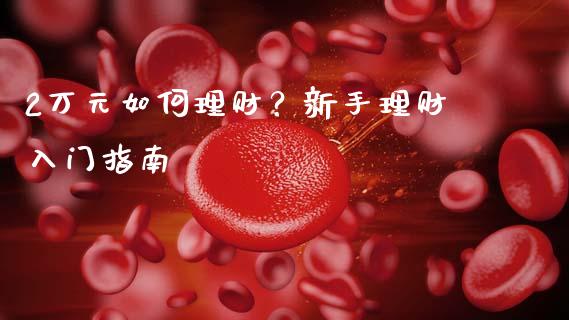 2万元如何理财？新手理财入门指南_https://cj001.lansai.wang_会计问答_第1张