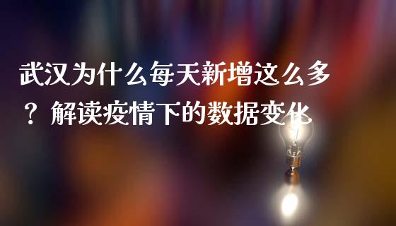 武汉为什么每天新增这么多？ 解读疫情下的数据变化_https://cj001.lansai.wang_财经问答_第1张