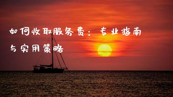 如何收取服务费：专业指南与实用策略_https://cj001.lansai.wang_理财问答_第1张