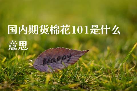 国内期货棉花101是什么意思_https://cj001.lansai.wang_财经百问_第1张