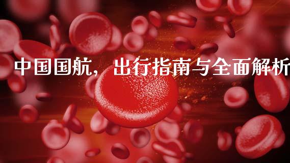 中国国航，出行指南与全面解析_https://cj001.lansai.wang_期货问答_第1张