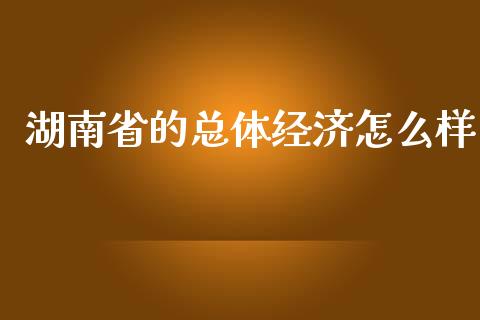 湖南省的总体经济怎么样_https://cj001.lansai.wang_理财问答_第1张