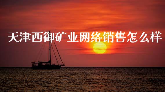 天津西御矿业网络销售怎么样_https://cj001.lansai.wang_保险问答_第1张