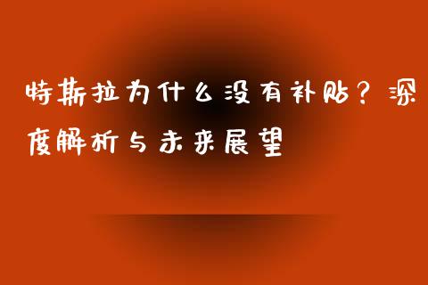 特斯拉为什么没有补贴？深度解析与未来展望_https://cj001.lansai.wang_保险问答_第1张