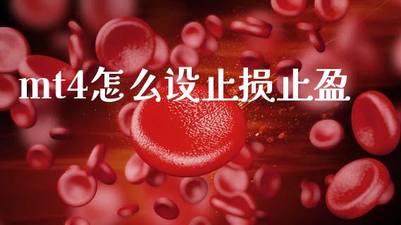 mt4怎么设止损止盈_https://cj001.lansai.wang_财经问答_第1张