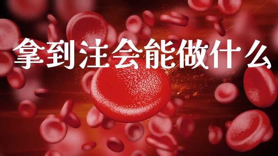 拿到注会能做什么_https://cj001.lansai.wang_会计问答_第1张