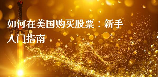 如何在美国购买股票：新手入门指南_https://cj001.lansai.wang_保险问答_第1张