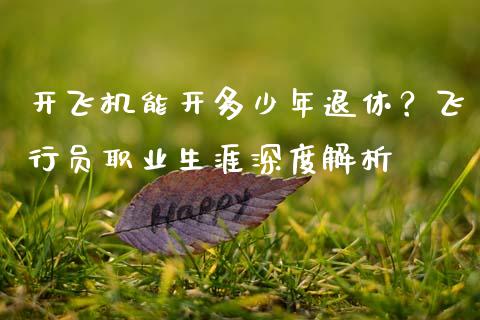 开飞机能开多少年退休？飞行员职业生涯深度解析_https://cj001.lansai.wang_会计问答_第1张