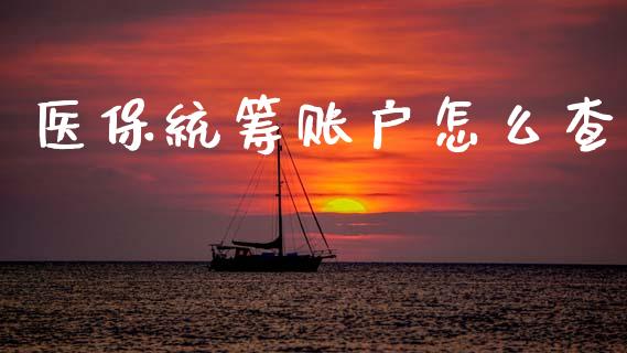 医保统筹账户怎么查_https://cj001.lansai.wang_保险问答_第1张
