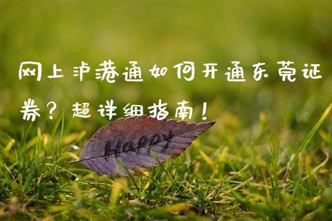 网上泸港通如何开通东莞证券？超详细指南！_https://cj001.lansai.wang_财经百问_第1张