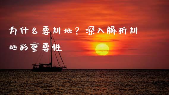 为什么要耕地？深入解析耕地的重要性_https://cj001.lansai.wang_股市问答_第1张
