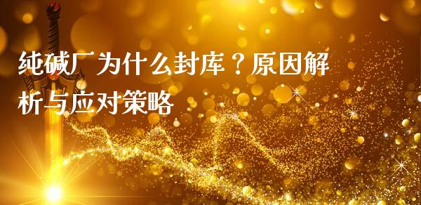 纯碱厂为什么封库？原因解析与应对策略_https://cj001.lansai.wang_会计问答_第1张