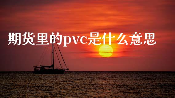 期货里的pvc是什么意思_https://cj001.lansai.wang_财经问答_第1张