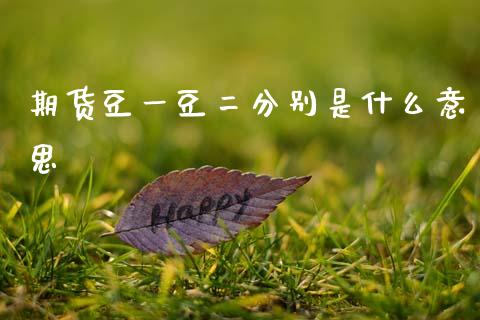 期货豆一豆二分别是什么意思_https://cj001.lansai.wang_会计问答_第1张