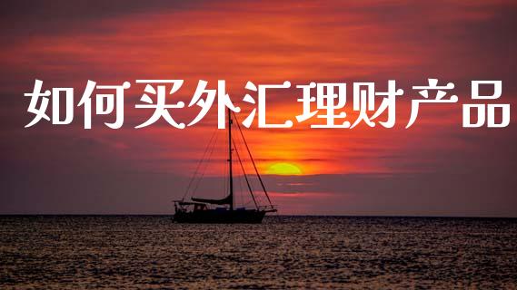 如何买外汇理财产品_https://cj001.lansai.wang_理财问答_第1张