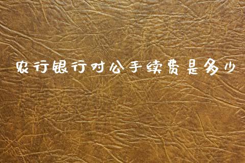农行银行对公手续费是多少_https://cj001.lansai.wang_理财问答_第1张