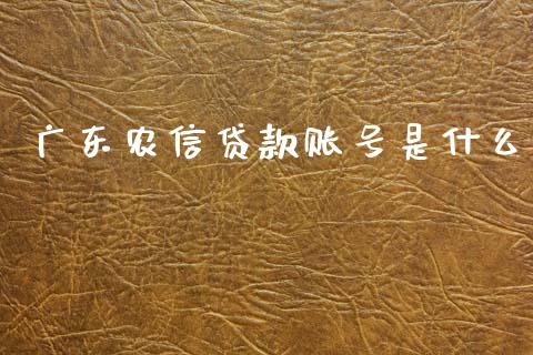 广东农信贷款账号是什么_https://cj001.lansai.wang_金融问答_第1张