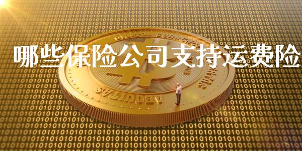 哪些保险公司支持运费险_https://cj001.lansai.wang_金融问答_第1张