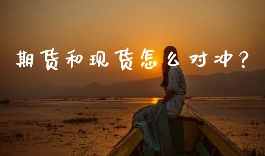 期货和现货怎么对冲？_https://cj001.lansai.wang_财经百问_第1张