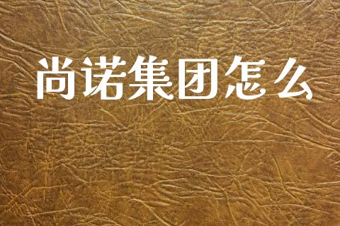 尚诺集团怎么_https://cj001.lansai.wang_金融问答_第1张