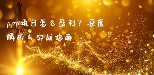 ppp项目怎么盈利？深度解析与实战指南_https://cj001.lansai.wang_保险问答_第1张