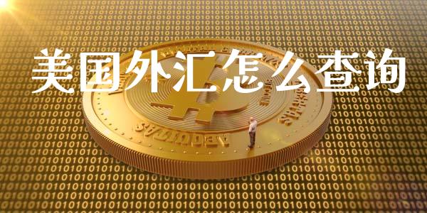 美国外汇怎么查询_https://cj001.lansai.wang_财经问答_第1张